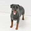 Royal Doulton Rottweiler Dog Figurine